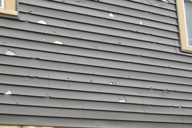 Best Dumpster Rental Services  in Hilmar Irwin, CA
